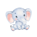 Daxiang Nice VPN, 庞大的象好用机场