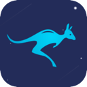 Daishu Nice VPN, 袋鼠好用机场