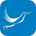 Fengniao Nice VPN, 蜂鸟好用机场