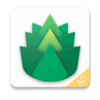 Emerald Nice VPN