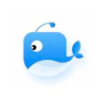 Cetacean Nice VPN